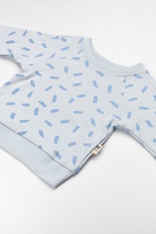 Mavi Fırça 2 li Takım 12-18 ay - Mavi