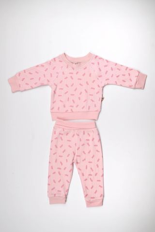 Pembe Fırça 2 li Takım 9-12 ay - Pembe